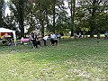 img 216